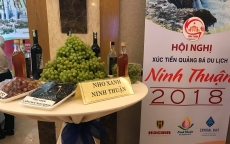Ninh Thuận được hỗ trợ trở thành địa phương thu hút mạnh về du lịch và đầu tư cao nhất nước