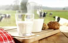 Vì sao một số trường hợp trẻ nhỏ uống sữa bò lại bị đau bụng?