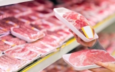 Chặn cửa thịt lợn nhập khẩu từ Hungary và Ba Lan