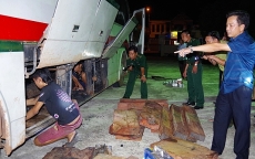 Bắt xe khách chở gỗ lậu, pháo nổ từ Quảng Trị ra Bắc