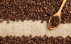 Giá nông sản hôm nay 10/10: Tiêu tăng lên 56.000 đồng/kg, cà phê tiến dần mốc 37.000 đồng/kg