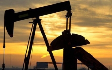 Ba lý do khiến giá dầu “bốc hơi” gần 11% trong 2 tuần