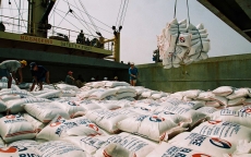 'Cởi trói' cho xuất khẩu gạo