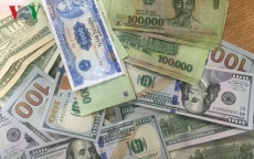 Tỷ giá ngoại tệ ngày 6/11: Giá USD tăng nhẹ