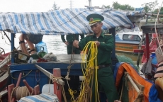 Nghệ An: Bắt hàng loạt tàu khai thác hải sản theo kiểu “tận diệt”
