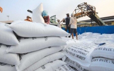 Tập đoàn gạo lớn nhất nước Úc mua nhà máy chế biến gạo ở Đồng Tháp
