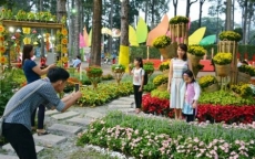 TP.HCM sẽ tổ chức hội hoa xuân Tết Kỷ Hợi tại các công viên lớn