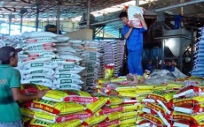 Việt Nam gia tăng xuất khẩu phân bón, thuốc bảo vệ thực vật