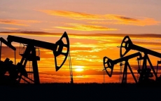 Giá dầu lao dốc xuống đáy 14 tháng