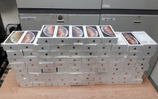Lô hàng gần 1.200 chiếc iPhone bị bắt tại Nội Bài vẫn 'vô chủ'