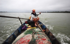 Từng đàn cá đối từ biển ngược vào cửa sông An Hòa