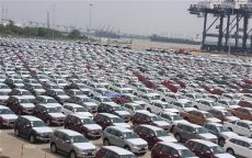 Hơn 1.500 xe ô tô cập cảng Sài Gòn trong tuần đầu năm Kỷ Hợi