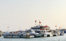 Quảng Ngãi: Hàng loạt tàu cao tốc Sa Kỳ - Lý Sơn nằm bờ vì vắng khách