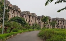 Thủ tướng yêu cầu Hà Nội kiểm tra nhiều dự án đô thị tại Mê Linh bị bỏ hoang