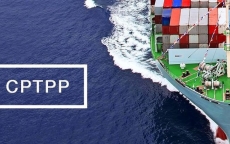 Việt Nam có thể tăng cường xuất khẩu mặt hàng thế mạnh nhờ Hiệp định CPTPP