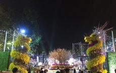 Dân Thủ đô háo hức chờ đón lễ hội hoa anh đào trong đêm