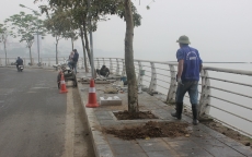 Hà Nội: Gần 300 tuyến phố sẽ được cải tạo, chỉnh trang vỉa hè
