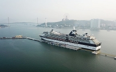 Hơn 55.000 lượt hành khách xuất nhập cảnh qua Cảng khách quốc tế Hòn Gai