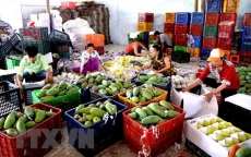 Những thị trường xuất khẩu nông sản lớn nhất của Việt Nam