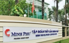 Minh Phú được chấp thuận chào bán riêng lẻ gần 76 triệu cổ phiếu
