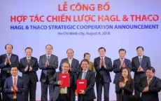 Thaco đăng ký mua gần 70 triệu cổ phiếu HNG