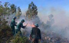 Cảnh báo nguy cơ cháy rừng cấp 'cực kỳ nguy hiểm' ở nhiều địa phương