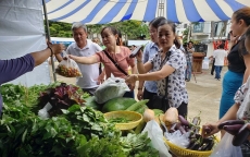 Đà Nẵng: Mê mẩn rau sạch, gà 'chạy bộ' ở phiên chợ nông sản sạch
