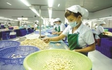 Nhiều hàng hóa của Việt Nam được người tiêu dùng Thái Lan ưa chuộng
