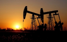 Lượng cung ứng dầu mỏ của thế giới đã sụt giảm