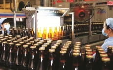Nghịch lý - người Việt nhậu nhiều nhưng doanh nghiệp bia rượu vẫn “bê bết”