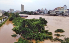 Mưa lớn gây ngập lụt TP Móng Cái, một người mất tích
