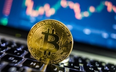 Nhiều yếu tố hỗ trợ, giá Bitcoin vững mốc 11.000 USD