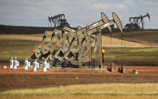 Giá dầu tăng mạnh do tồn kho của Mỹ sụt giảm