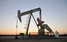Giá dầu hồi phục nhờ tồn kho của Mỹ giảm