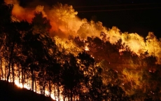Hơn 500 người thức trắng đêm dập tắt đám cháy rừng trên núi Nầm, Hà Tĩnh