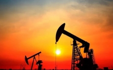 Giá xăng dầu hôm nay 10.7: Tăng hơn 1% do dự trữ dầu của Hoa Kỳ giảm
