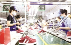 Ngành da giày khó tận dụng “cao tốc” EVFTA