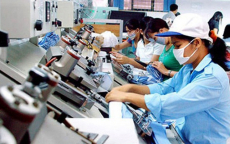 Doanh nghiệp Việt cần đẩy mạnh tham gia vào chuỗi cung ứng