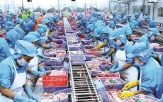 Nông, thủy sản Việt vẫn khó chinh phục thị trường EU khi có EVFTA