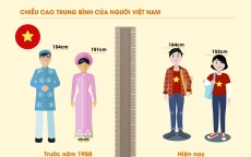 Cam kết kim cương – giải pháp để người Việt trở thành công dân toàn cầu