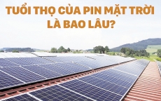Nan giải xử lý chất thải điện năng lượng mặt trời