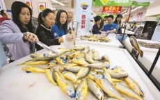 Thị trường hải sản Trung Quốc: Rộng cửa cho mọi nhà cung ứng