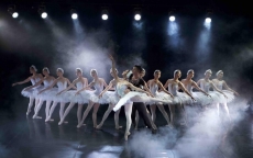Tuyệt phẩm Ballet 'Hồ Thiên Nga' sẽ trình diễn ở Công viên Hồ Thiên Nga- Ecopark
