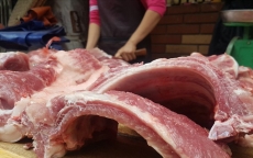 Giá thịt lợn hơi tiếp tục giảm