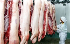 Đưa giá thịt lợn xuống mức hợp lý, xử lý nghiêm việc thao túng giá