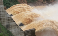 Quảng Nam thu hồi quyết định cho thuê hơn 31.000m2 đất làm thủy điện