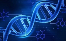Các nhà khoa học lần đầu tiên giải mã thành công bộ gen người hoàn chỉnh