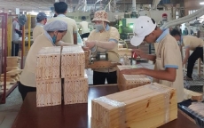 Mỹ chính thức điều tra tủ gỗ nhập khẩu từ Việt Nam