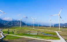 19 dự án điện gió, điện mặt trời được thống nhất giá tạm thời