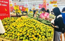 Tiếp sức thị trường trái cây
